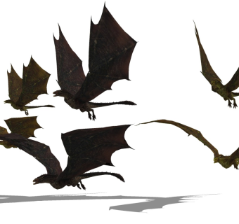 精品动物模型 飞龙 (8)